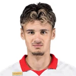 Alajbegovic