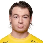 P.Berg