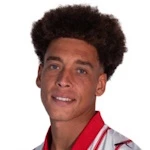 Witsel