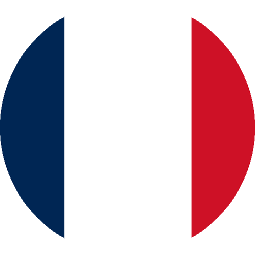 Alineación y plantilla de Francia