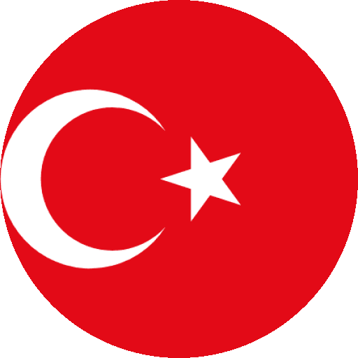 Alineación y plantilla de Turquia